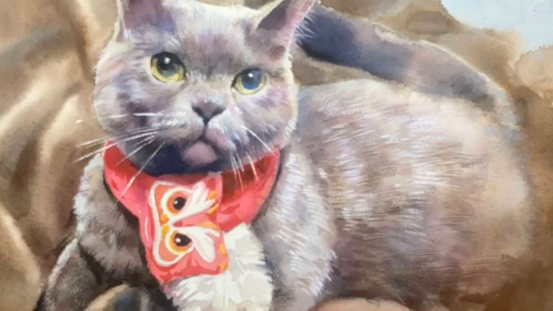 『免費課程』水彩｜寵物